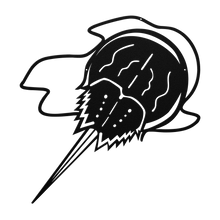 Load image into Gallery viewer, Horseshoe_Crab_Metal_Wall_Art_Black_Transparent_Mockup.png