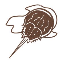 Load image into Gallery viewer, Horseshoe_Crab_Metal_Wall_Art_Copper_Transparent_Mockup.png