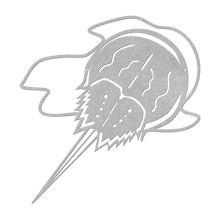 Load image into Gallery viewer, Horseshoe_Crab_Metal_Wall_Art_Silver_Transparent_Mockup.png
