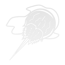 Load image into Gallery viewer, Horseshoe_Crab_Metal_Wall_Art_White_Transparent_Mockup.png
